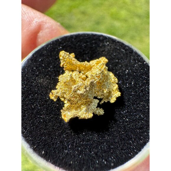 California Native Gold Crystal - 1.32 grams - Picture 3 of 7